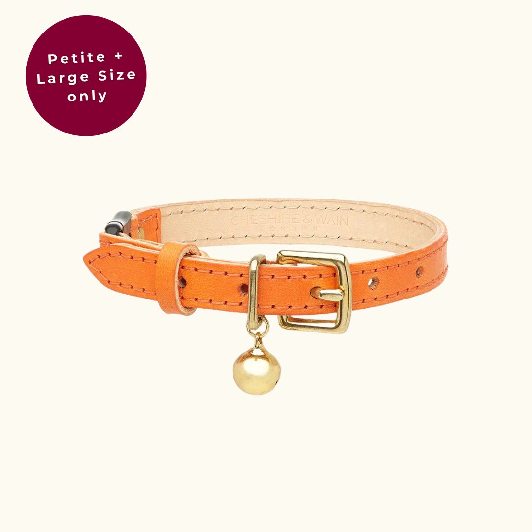 Leather cat clearance collar with bell