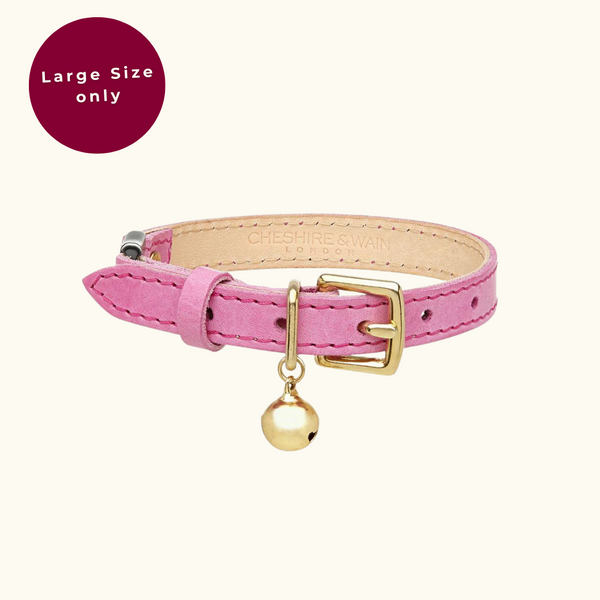 Rose gold shop cat collar