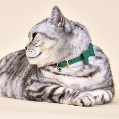 Wonderland - Mock Turtle Green Cat Collar