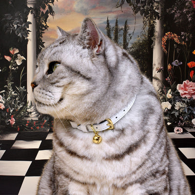 New Wonderland - White Rabbit Cat Collar