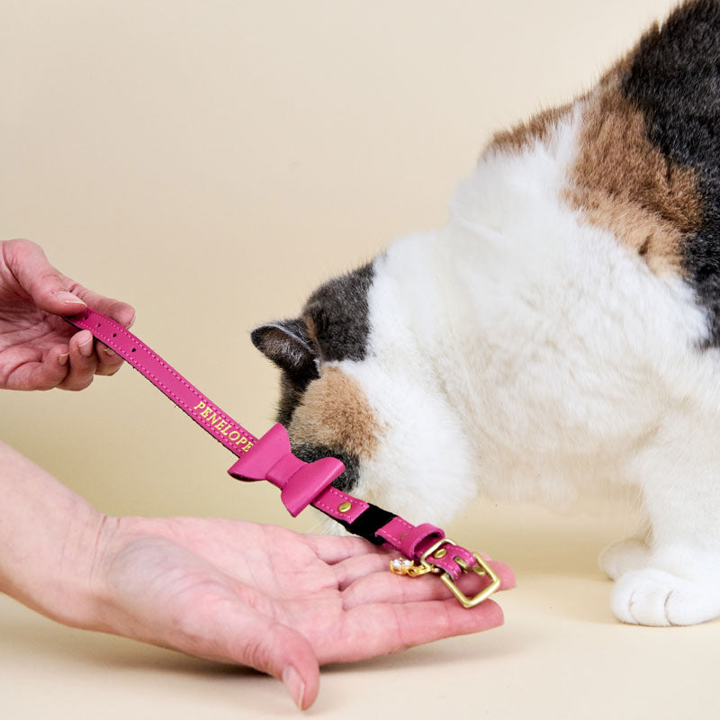 Wonderland - Flamingo Pink Cat Collar