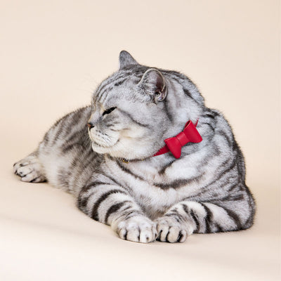 Wonderland - Jam Tart Red Cat Collar