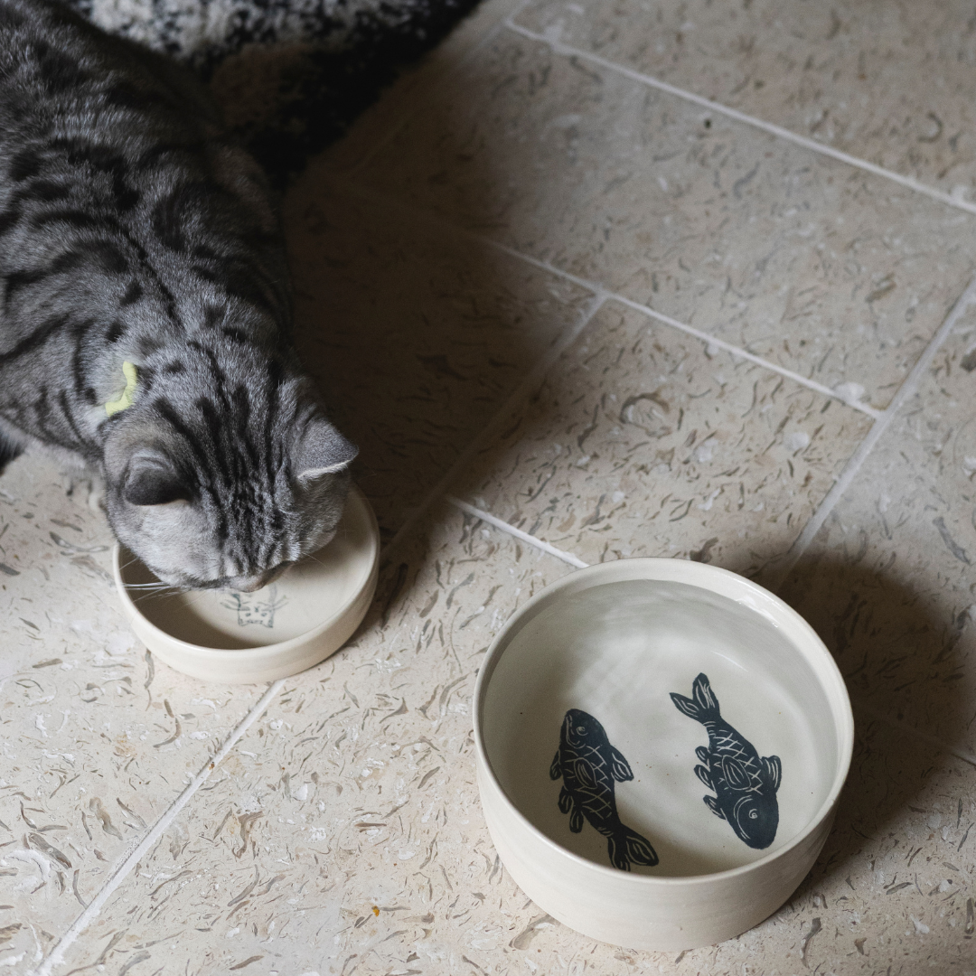 Large cat water bowl best sale