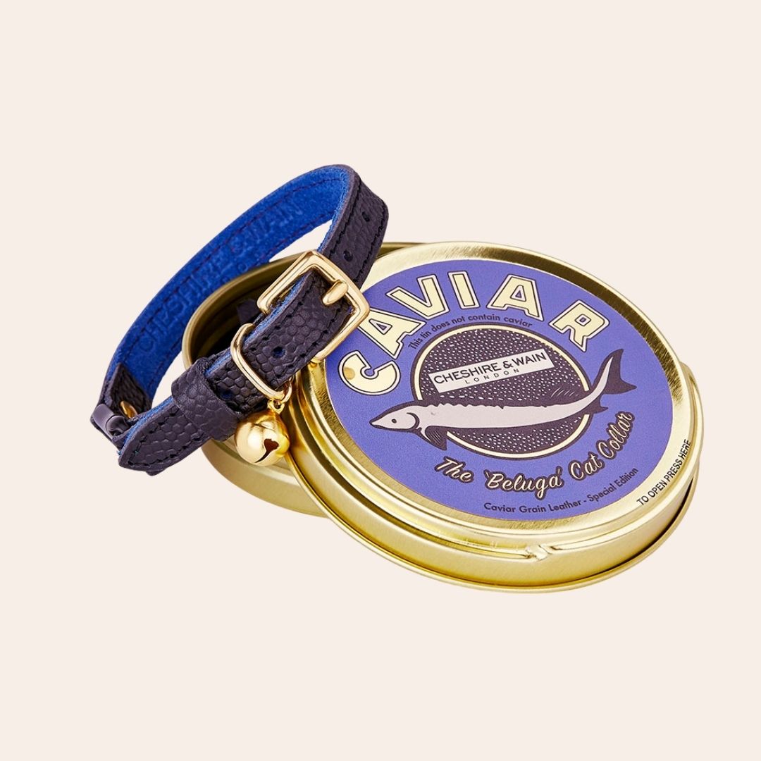 The 'Beluga' Caviar Cat Collar