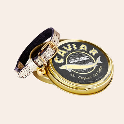 The 'Caspian' Caviar Cat Collar