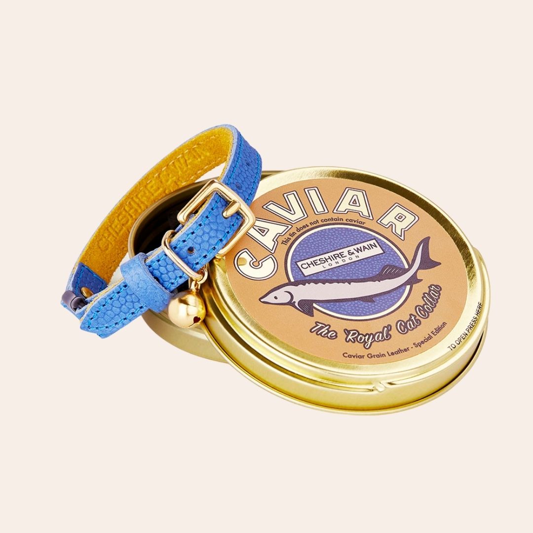 The 'Royal' Caviar Cat Collar