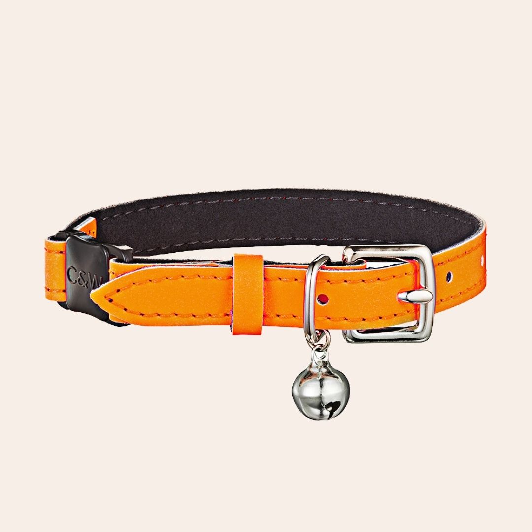 Neon Orange - Reflective Cat Collar