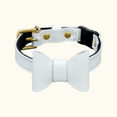 New Wonderland - White Rabbit Cat Collar