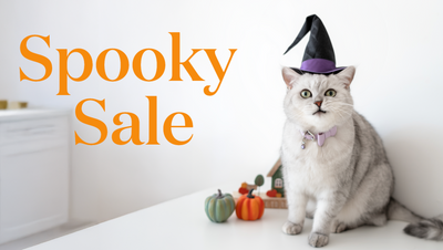 Enjoy 13% Off This Spooky Season