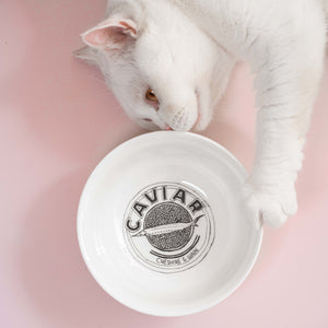 Louis Vuitton Cat Collar -  UK