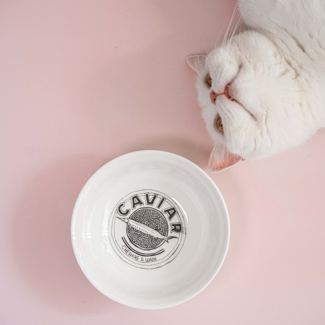 Bone China luxury cat bowl with caviar illustration design