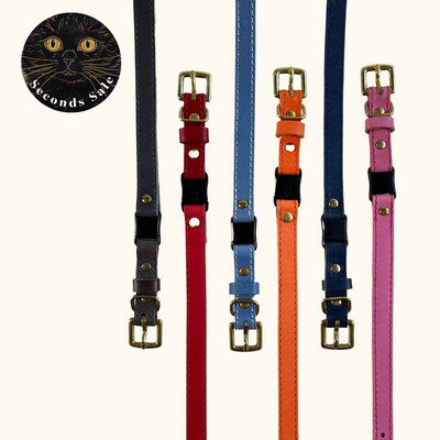 Kitten & Small Adult (Petite Size) Mystery Collar Lucky Dip!