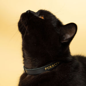 Buy Louis Vuitton Cat Collar Online In India -  India