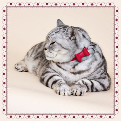 Wonderland - Jam Tart Red Cat Collar