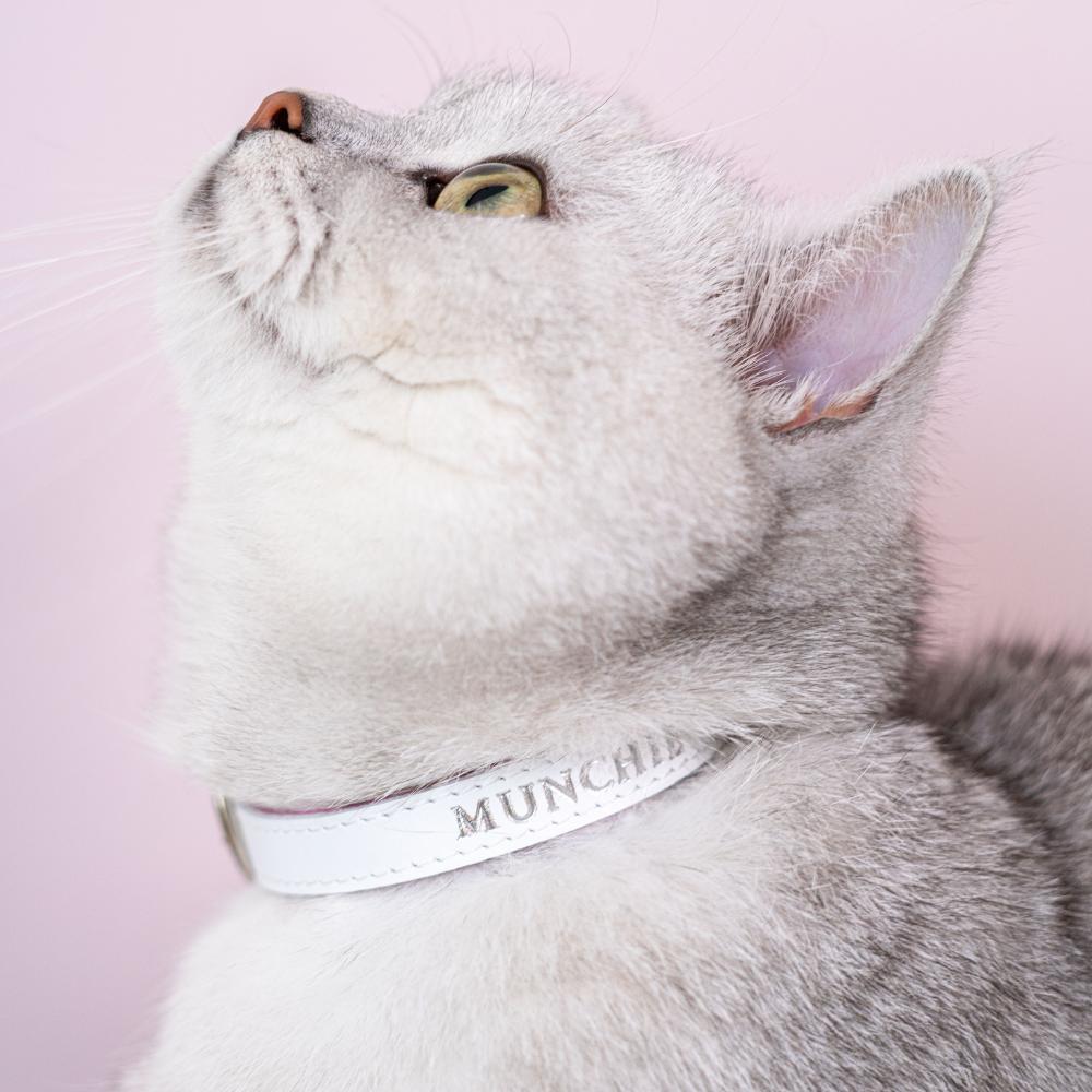 Cheshire Wain Wonderland White Leather Cat Collar