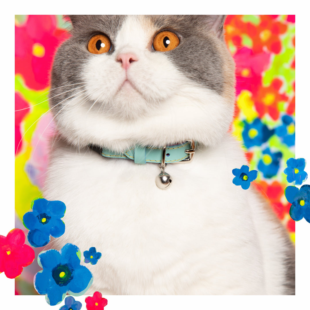 Mint cat collar best sale